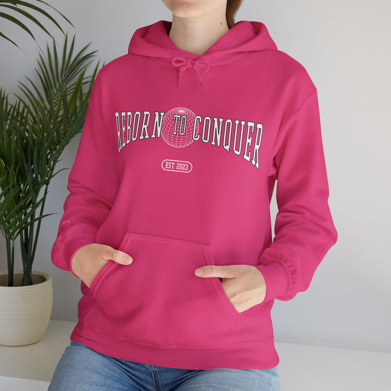 "Globe" Edition - Hoodie