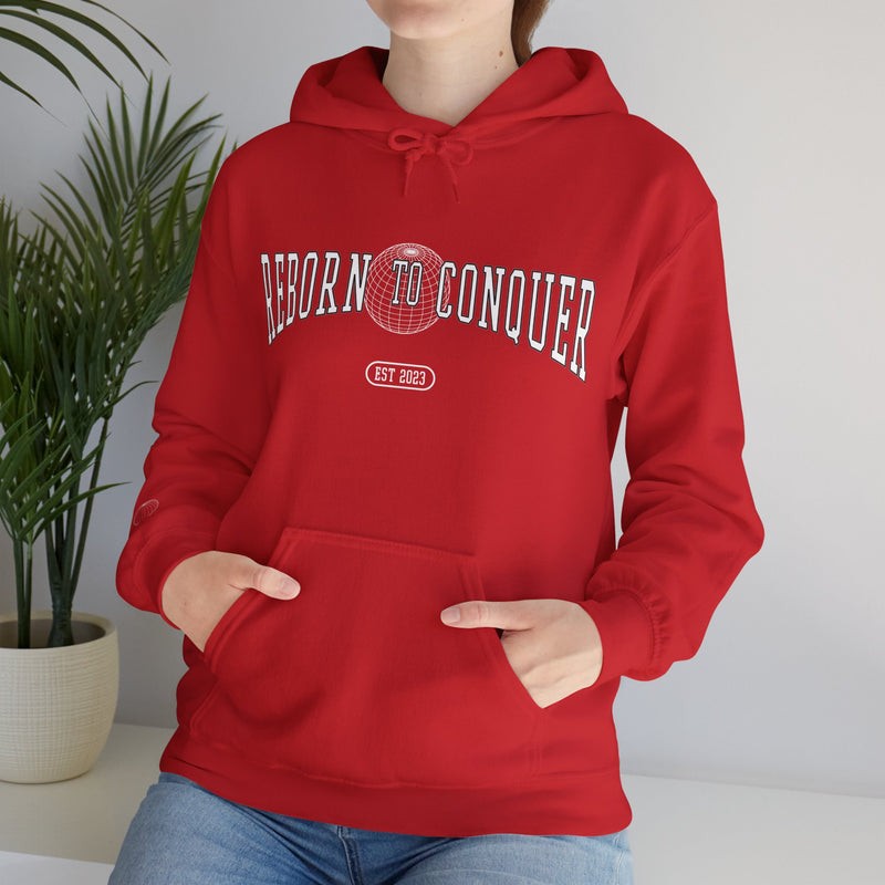 "Globe" Edition - Hoodie