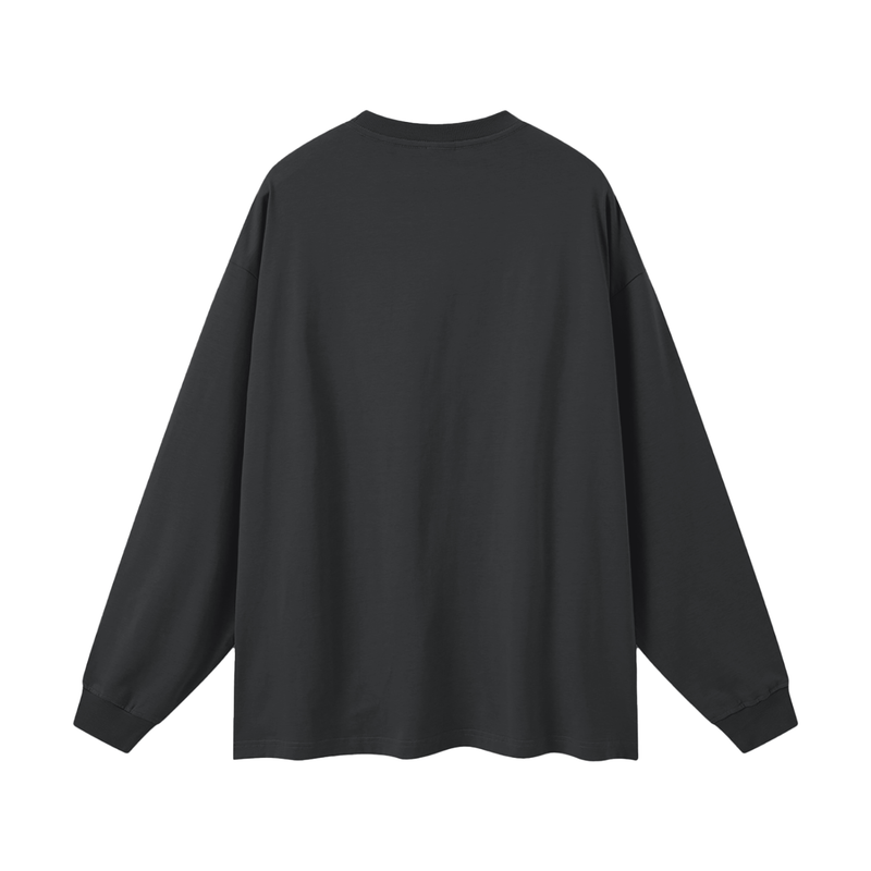 Reborn To Conquer,RTC,The Chosen Collection,Motivational Apparel,Cotton Long Sleeve,Long Sleeve Tee,Streetwear Tee,Crew Neck / O-Neck,Streetwear Casual