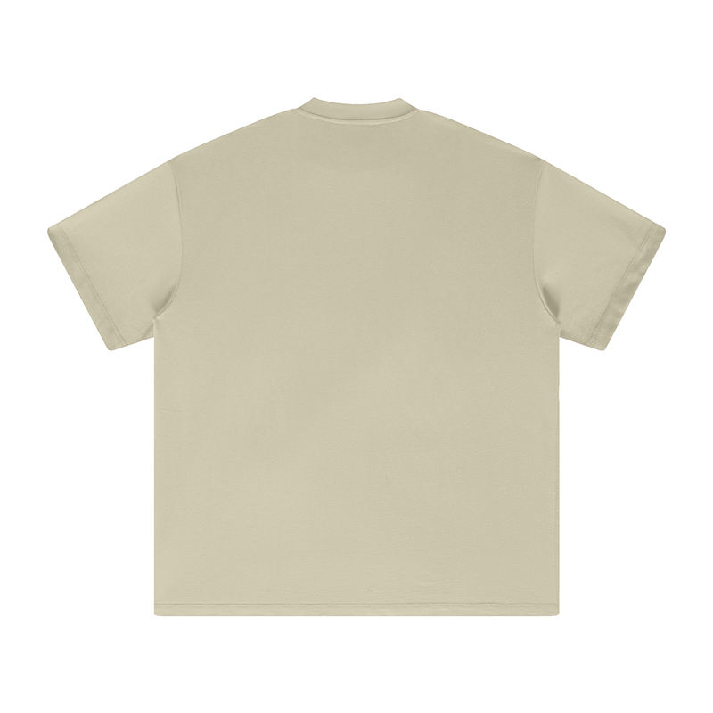 Reborn To Conquer,RTC,The Chosen Collection,Chosen,Streetwear Casual,Purpose Driven,Lightweight Cotton Tee,Comfortable Casual Tee
