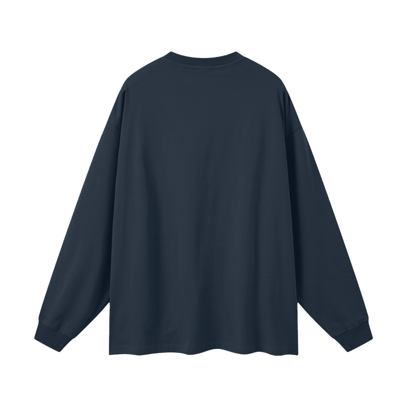 Reborn To Conquer,RTC,The Chosen Collection,Motivational Apparel,Cotton Long Sleeve,Long Sleeve Tee,Streetwear Tee,Crew Neck / O-Neck,Streetwear Casual