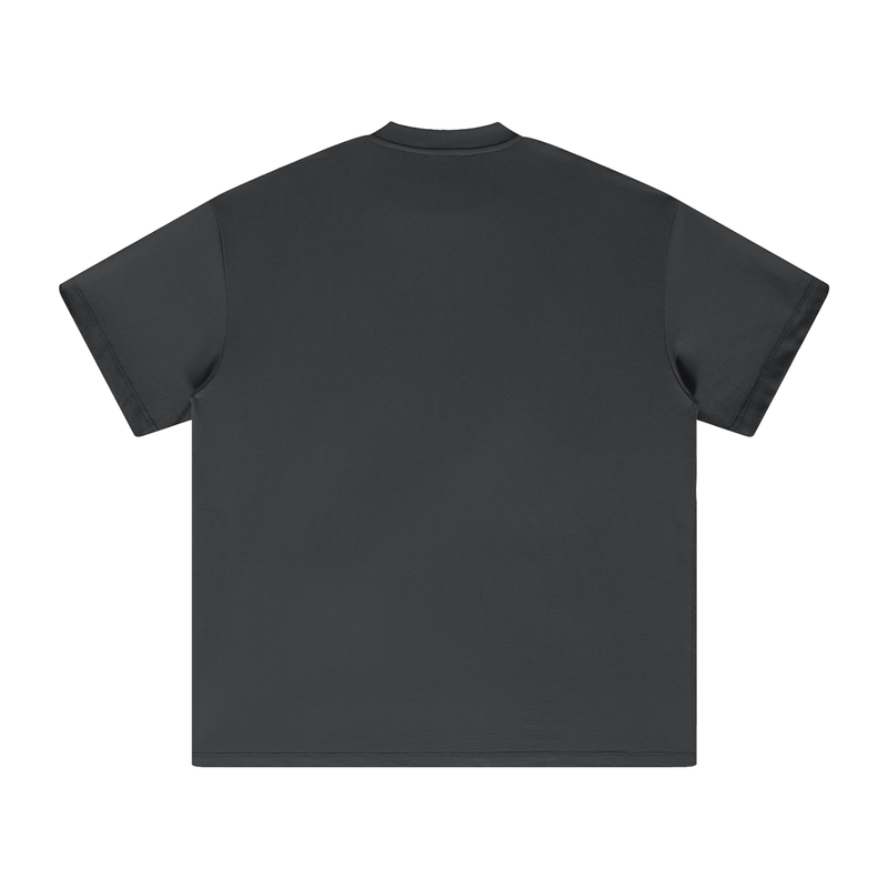 Reborn To Conquer,RTC,The Chosen Collection,Chosen,Streetwear Casual,Purpose Driven,Lightweight Cotton Tee,Comfortable Casual Tee