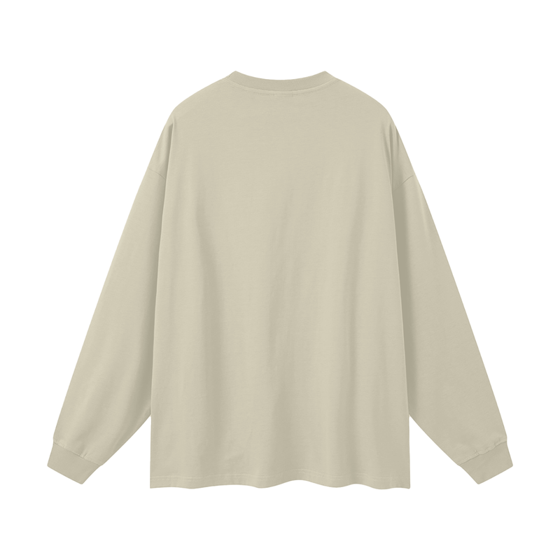 Reborn To Conquer,RTC,The Chosen Collection,Motivational Apparel,Cotton Long Sleeve,Long Sleeve Tee,Streetwear Tee,Crew Neck / O-Neck,Streetwear Casual